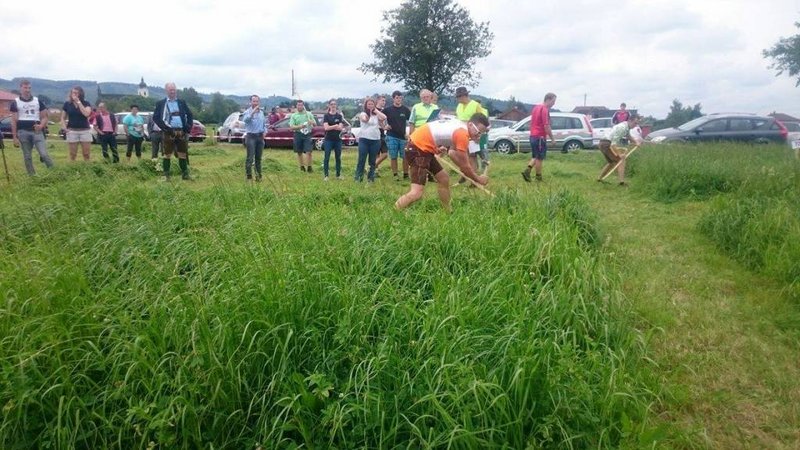 Landesentscheid Sengstmahn