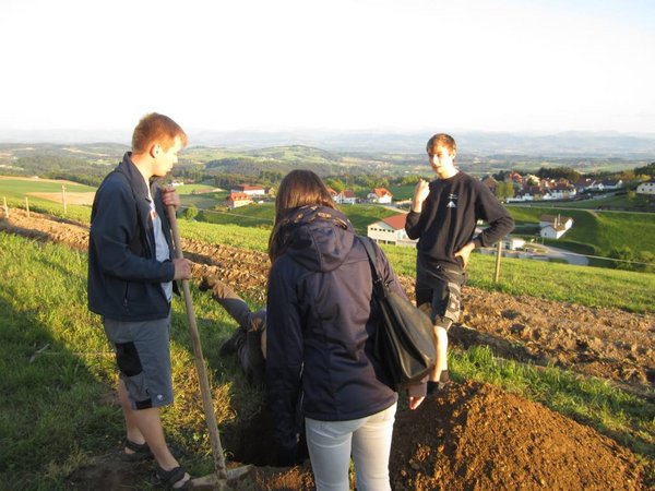 Maibaumfamilie erweitern 2.0