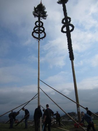 Maibaumfamilie erweitern 1.0