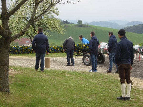 Maibaum austellen Aumühle